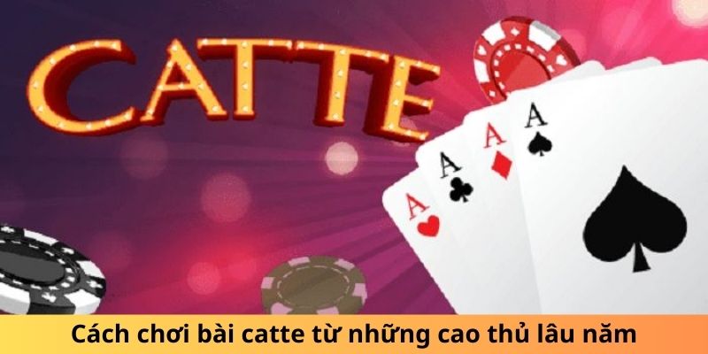 Cách chơi bài catte từ những cao thủ lâu năm