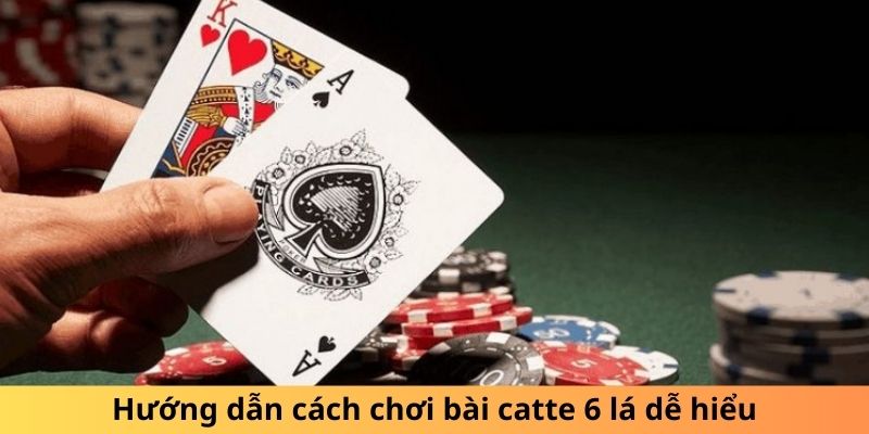 Hướng dẫn cách chơi bài catte 6 lá dễ hiểu