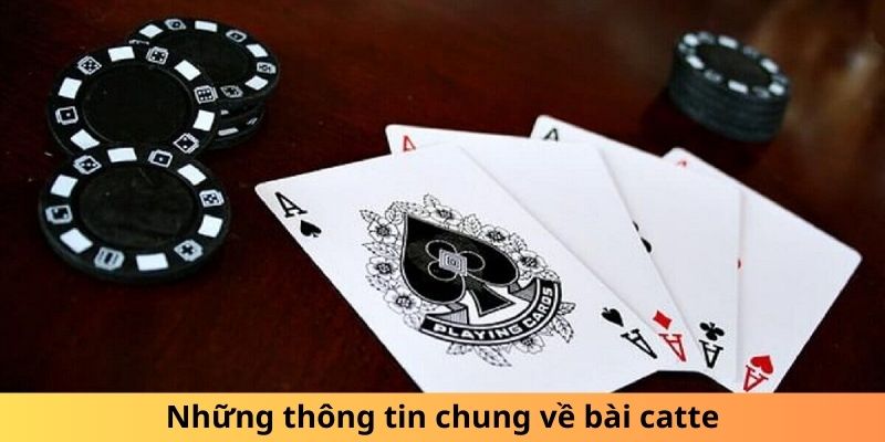 Những thông tin chung về bài catte